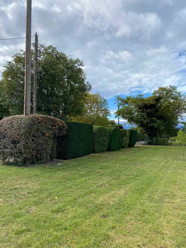 Aménagement de jardin Riom