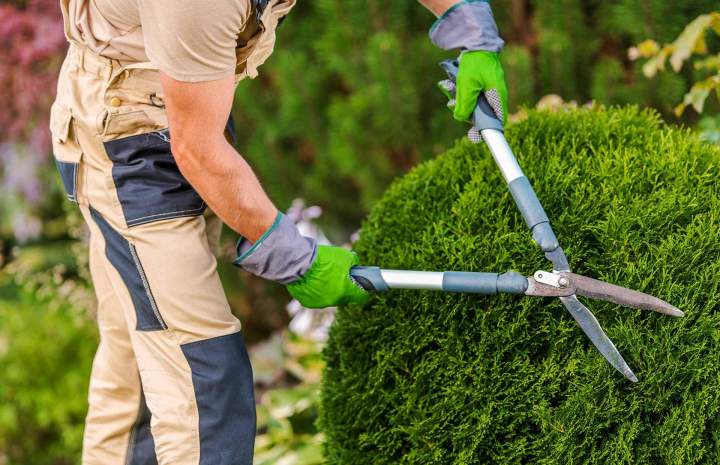 Entretien de jardin Riom