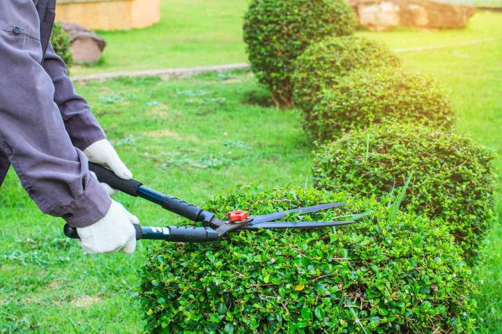 Travaux d’entretien de jardin Riom